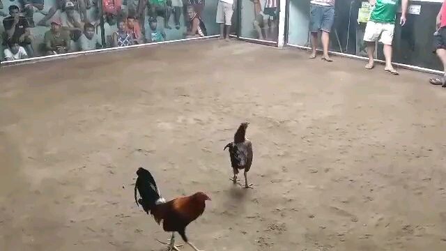 lieper henny