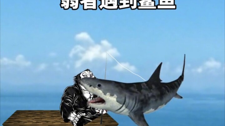 弱者遇到鲨鱼VS强者遇到鲨鱼
