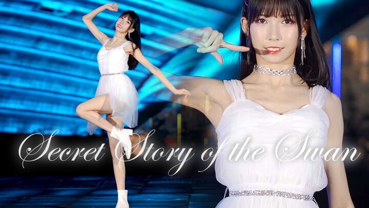[Meiko’s 4th Anniversary] Dancing just for you~ “Fantasy Fairy Tale” – Be the most confident swan, I