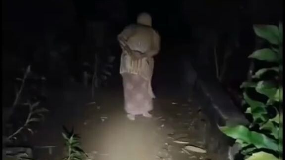 Jalan di kebun tengah malam, kirain ada nenek kesasar, ternyata . . .