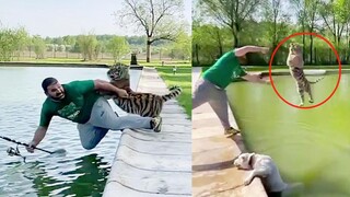 النمر الصغير يهاجم البشر بشكل مفاجئ! كيف سيقوم الروس بـ "الانتقام"؟