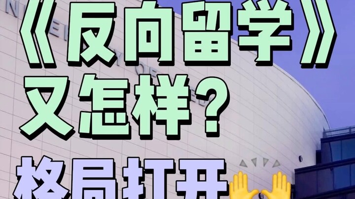 Reverse studying abroad—what’s wrong with having so many Chinese students? 😭
