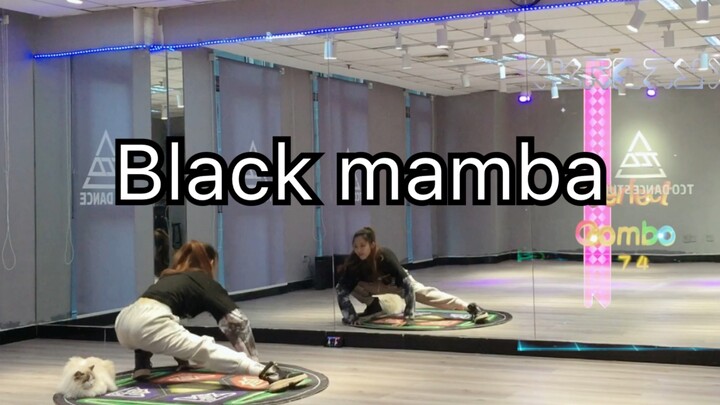 【皮皮教程】Black mamba-aespa出道曲 跳舞机完整版教程