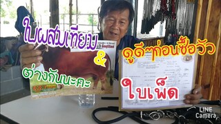 ใบเพ็ด กับใบผสมฯ ต่างกันอย่างไร