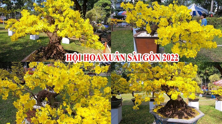 Mùng 1 Tết ở Sài Gòn Bất ngờ với Dàn Hoa Cây Cảnh Hội Hoa Xuân Tết 2022 công viên Tao Đàn