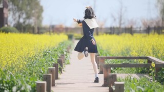 【Cocolo】Sức sống tuyệt vời! Home Dance số 1~Honey works