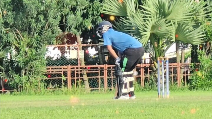 Cricket
