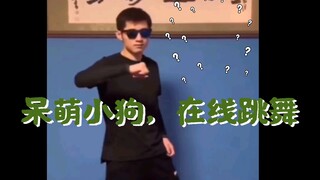 【张继科跳舞合集】小狗早期征服人类四肢影像