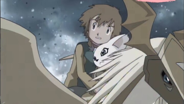 [Anime][Digimon] Tailmon's Evolution