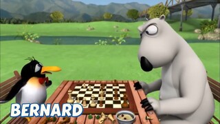 BERNARD BEAR || CHESS - CARTOON CHILDREN
