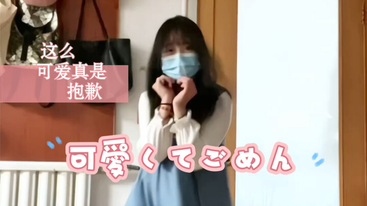 【小胡】17岁女高翻跳可愛くてごめん（这么可爱真是抱歉)/HoneyWorks
