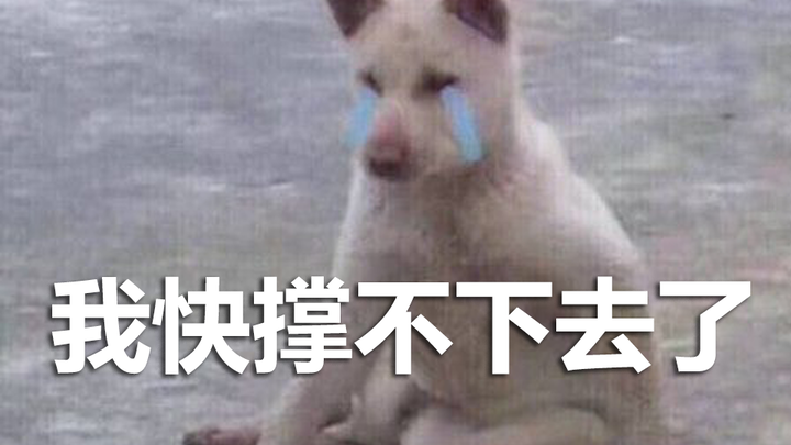 “Cat Mario 4 #04” Help me check—am I being tricked by this game!?