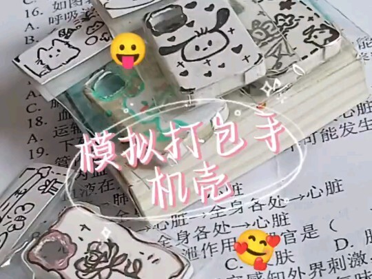 Simulated phone case packaging