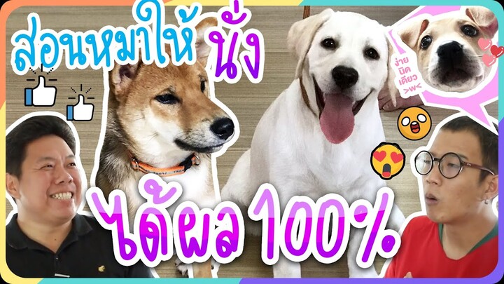 วิธีฝึกหมาและสัตว์เลี้ยงให้นั่งรับรองได้ผล 100 % EP.3 - KHONPETS สาระ !