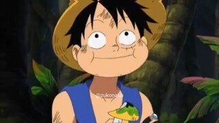 LUFFY HIGH