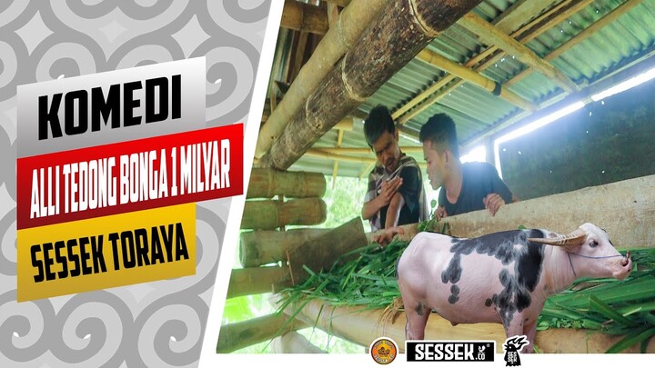 KOMEDI SESSEK ALLI TEDONG SALEKO (beli kerbau saleco ) MARKOMI FRANSISCO PATANDUNG