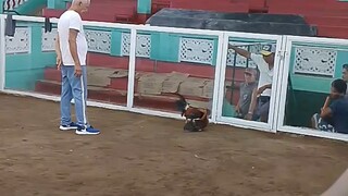 Wala win