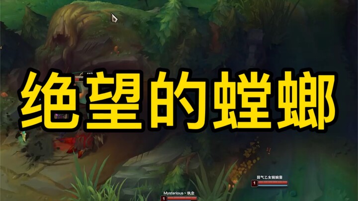 《绝望的螳螂》