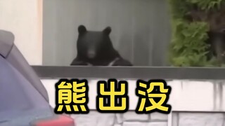 Soal beruang berkeliaran di Jepang ini, kok semakin lama semakin absurd ya?