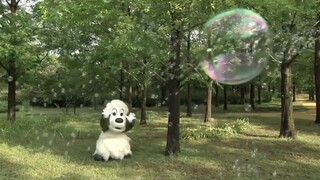 Awawa。 (あわわ。) | いないいないばあっ!