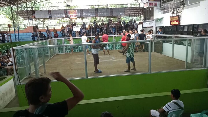 First Figth win 2cock Derby