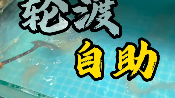 บุฟเฟต์บอกให้กินตามสบาย แต่พอได้กินทีเดียวกลับเงียบไม่พูดอะไรเลย