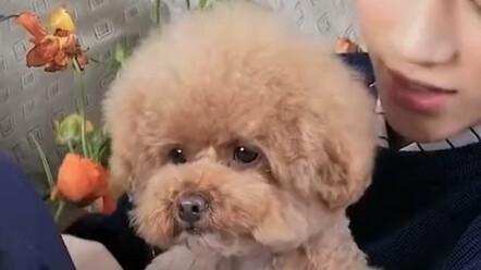 【TXT】เหมือนกันเป๊ะ.. ทำไมทุกคนถึงกอดตัวเองล่ะ?