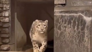 Heaven-defying matchmaking mechanism