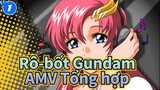 [Rô-bốt Gundam]SEED & Destiny/AMV chính thức Tổng hợp_B1