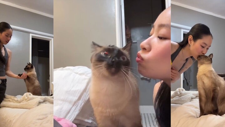 ABC beauty girl shows you her cute kitten 🐱