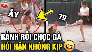 Tin 3 Phút Hài | Tổng hợp tình huống 'HÀI ĐỘNG VẬT' không cười không lấy tiền P28