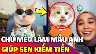 Cảm động chú Mèo vì 'MIẾNG CƠM MANH CÁ' mà phải làm 'MẪU ẢNH' giúp Sen kiếm bộn tiền 😎 Gâu Đần