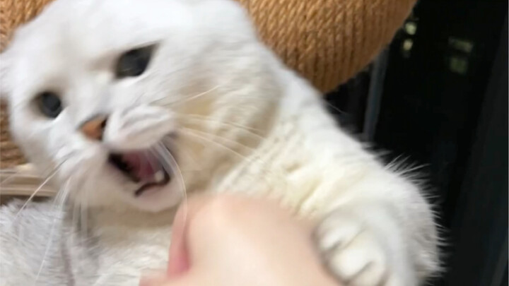 Go ahead and curse me all you want—just don’t bring that up!