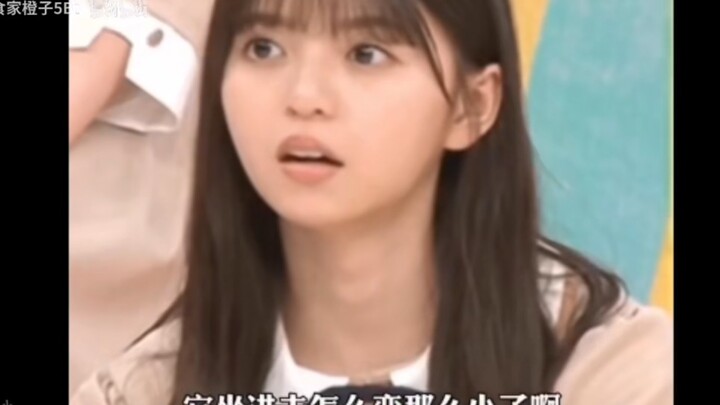 Sao mà cho chú Samoyed to đùng thế này vào trong lại nhỏ đi vậy nhỉ? #Samoyed #So sánh trước sau khá