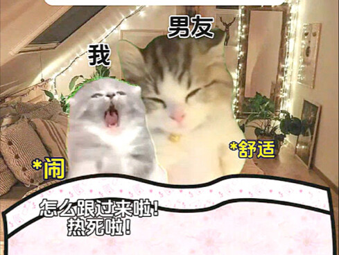 When I Got a Boyfriend from Northern China
