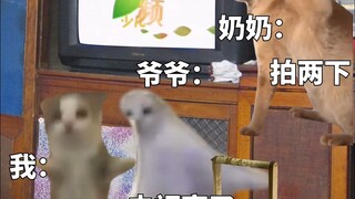 小时候以为爷爷可以修好所有东西