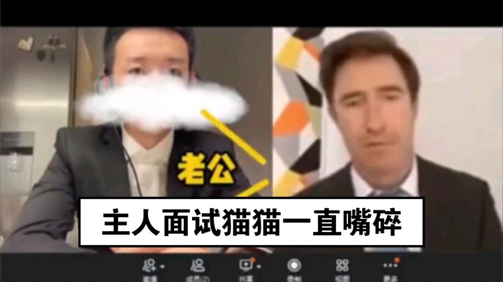 بينما كان المالك يجري المقابلة، ظلّ القط يثرثر بلا توقف: “تعالَ، صِرْ هنا وتحدث أنت!”