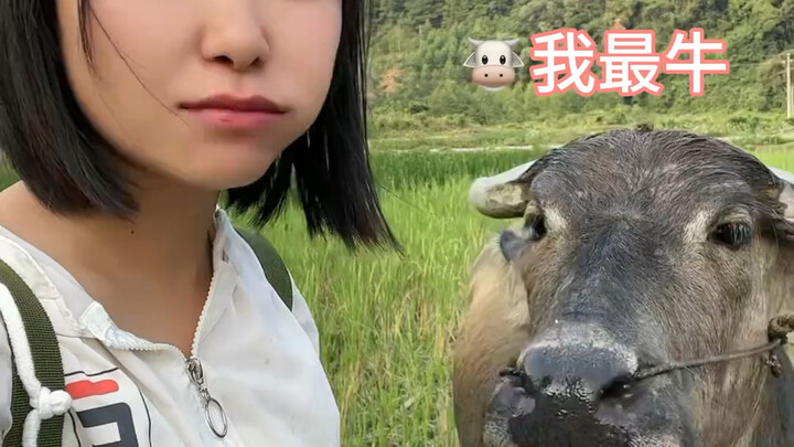 Quần jean nhà ai mà vui thế nhỉ～