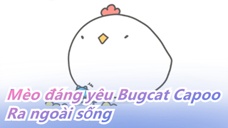 Mèo đáng yêu Bugcat Capoo| Ra ngoài sống và sau cùng cũng quay về