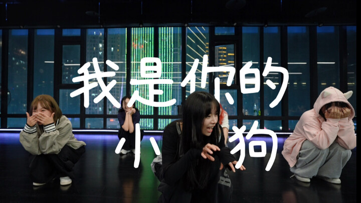 สองเหตุการณ์สำคัญในชีวิตลูกหมา～อยู่ข้างๆ เธอ～รอเธออยู่เสมอ “ฉันคือลูกหมาของเธอ” #ท่าเต้นโดยเสี่ยวจวี