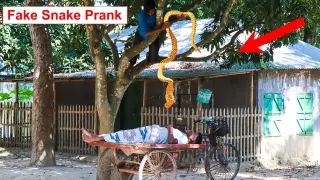 King Cobra Snake Prank 🐍 (Part 3) | Fake Snake Prank Video on Public | 4 Minute Fun