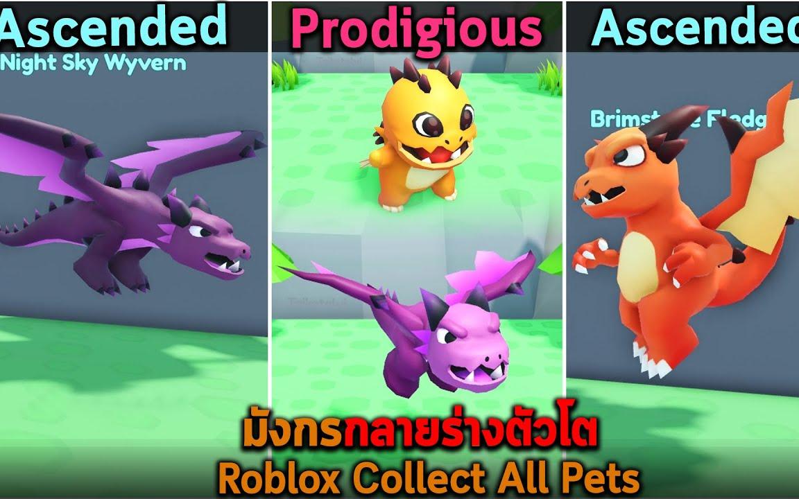 Collect All Pets! - Roblox