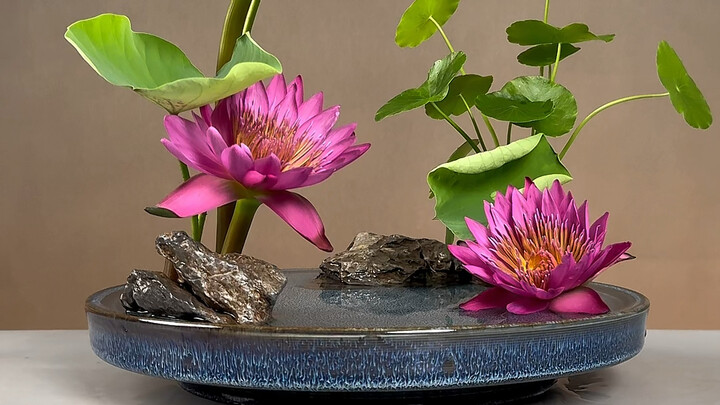 In the summer pond, water lilies sway gently, conjuring a cool, dreamlike stillness.
