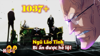 [One Piece 1037+]. Bí ẩn Ngũ Lão Tinh được hé lộ, Tình hình những chủ chốt hiện tại!