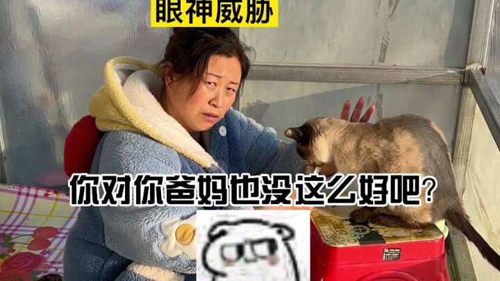 الجملة الأخيرة، قلبتُ الطاولة وانتصرتُ، فلم تَعُدْ أمي قادرةً على المُضيِّ قُدُمًا...