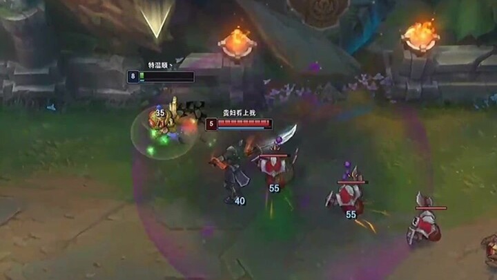 تيمو ابن العشب قد وصل