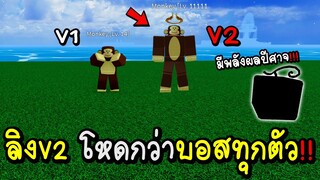 Blox Fruits ความลับเกาะลิงมี ลิงV2อยู่โหดมากมีพลังผลปีศาจด้วย!!!