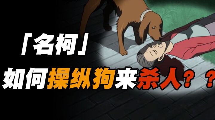 "I'm not a human but you're a real dog"