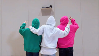 231107 SEVENTEEN 李灿DINO GodOfMusic with DINO 父母 零站