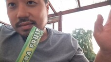 ASMR Eating Apple Ice Pop (Eating Sounds, Mouth Sounds)